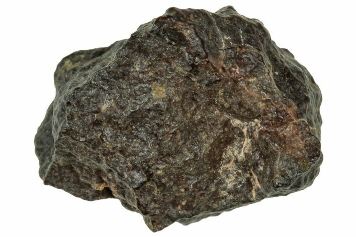 Abadla CM Chondrite Meteorite ( g) - Algeria #313040